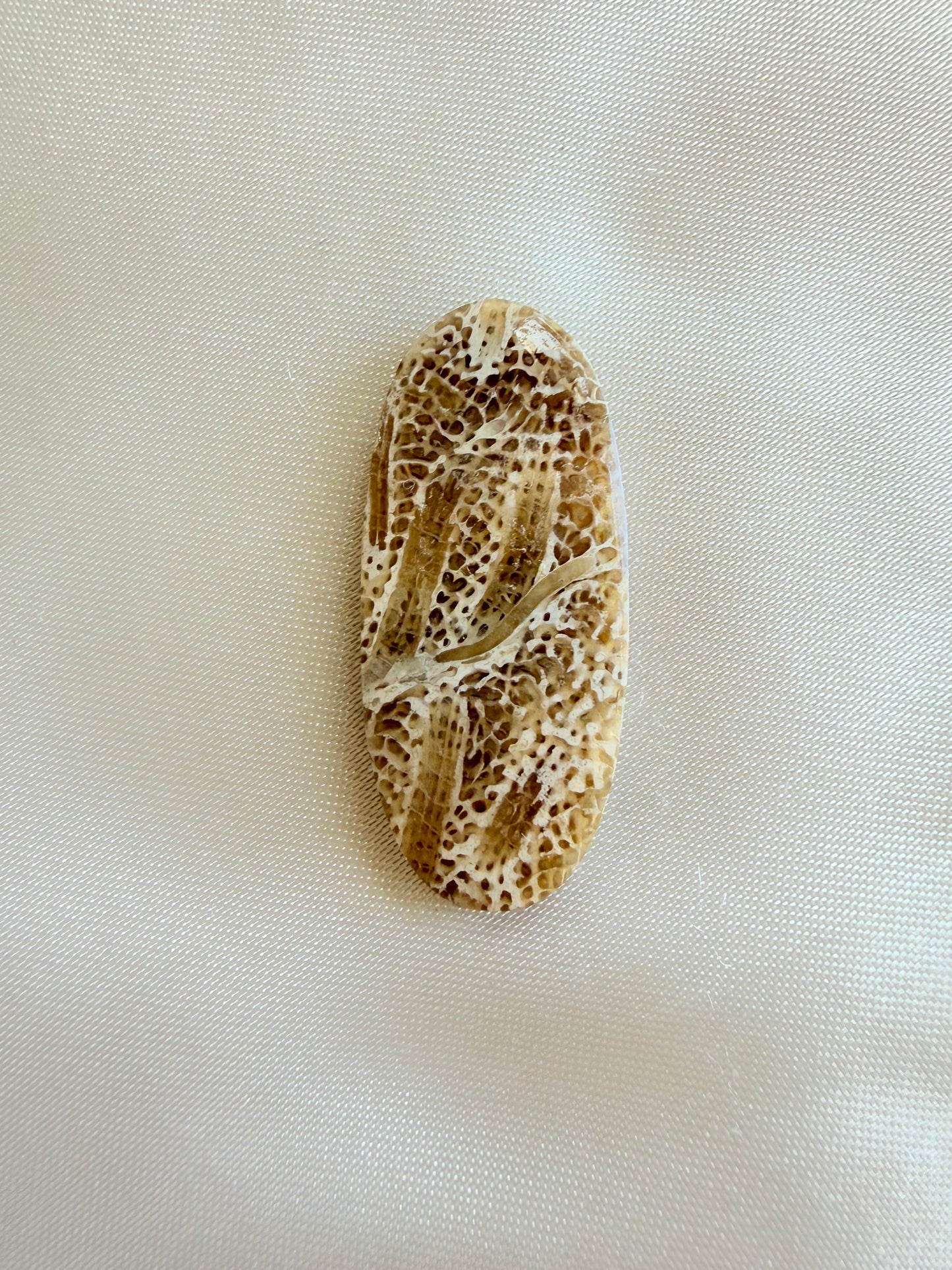 Bolo Stone